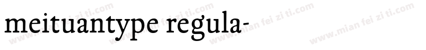meituantype regula字体转换